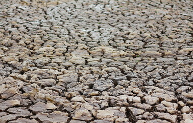 barren ground shortage of rain