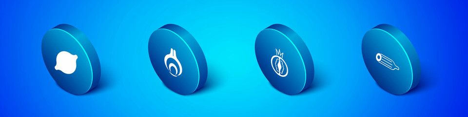 Set Isometric Lemon, Tomato, Fresh cucumber and Onion icon. Vector