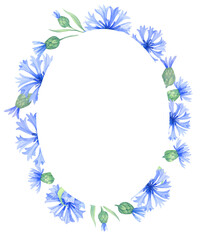 Fototapeta na wymiar Round frame with blue cornflower flowers, a wreath of summer field grasses and leaves