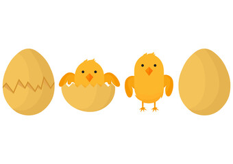 a collection of illustrations on the theme of chicks, with cracked eggs, newly hatched chicks, chicks that have started to grow up, and whole chicken eggs