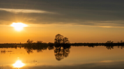 Fototapeta premium Flooded trees during a period of high water at sunset. Trees in water at dusk. Landscape with spring flooding of Pripyat River near Turov, Belarus. Nature and travel concept.
