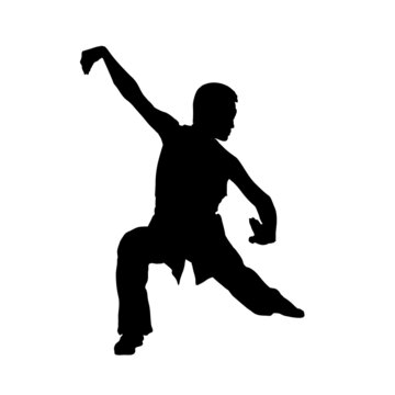 Silhouette of a man showing wushu, kung fu, aikido. Sign, icon. Vector image
