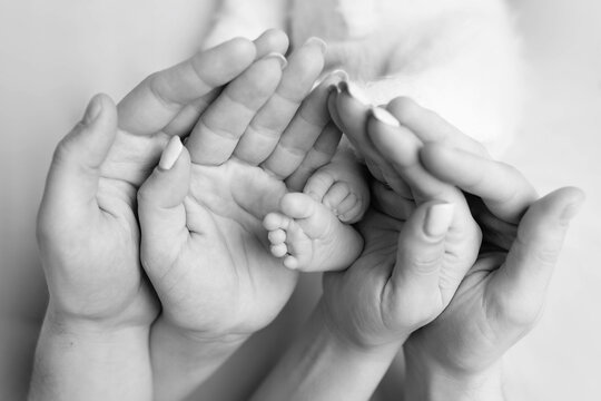 the legs of the child in the arms of the mother and the father the legs of a newborn baby . black and white photo