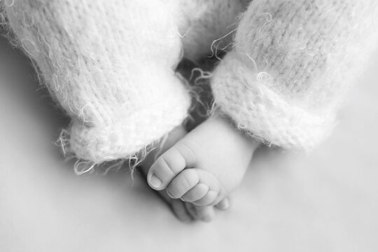 small legs black and white photo. feet of a newborn baby. baby feet