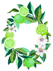 Hand drawn round frame of watercolor lime Watercolor illustration wreath of green lime and leaves greeting card for template greeting