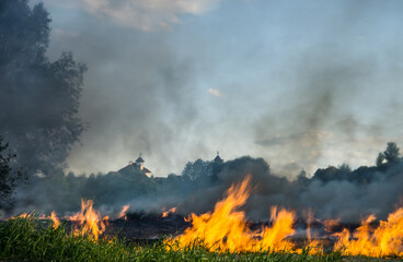 The grass burns in a meadow. Ecological catastrophy. Fire and smoke destroy all life.