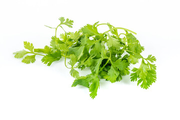 Fresh green vegan vitamin parsley isolated on white background