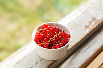 Red currants with twigs in glass white bowl on white aged village window ledge. Picked ripe berries in natural surrounding. 
