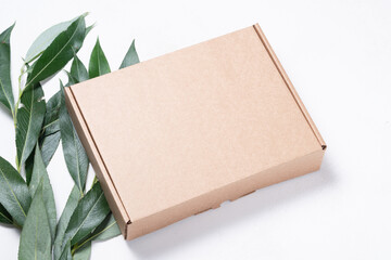 Brown cardboard box with tree brush