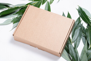Brown cardboard box with tree brush