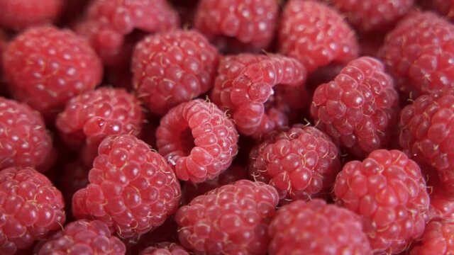 Close Up Rotation Loopable Raspberry. Fresh, Juicy Raspberry Background, Ripe. Macro Red Raspberries Fruit. Fresh Raspberry Fruits As Food Dackground. Healthy Food Organic Nutrition.
