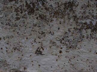 The texture of the old rusty metal covered with white paint.