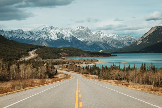 Asphalt road near lake in nature