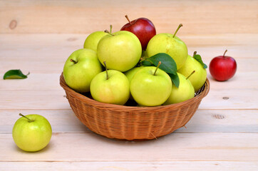 fresh harvest of organic apples in the basket