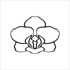 Doodle orchid icon isolated on white. Hand drawn sketch. Flower coloring page book. Vector stock illustration. EPS 10 