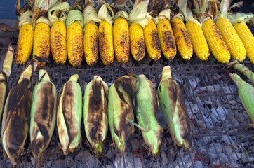 corn on the cob cooked on the road - 448084984