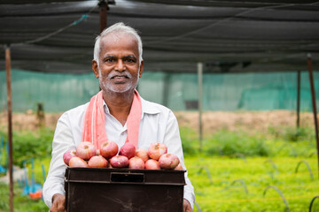 Happy smiling Indian farmer holding onions in tray at greenhouse or polyhouse - cocept of good crop...