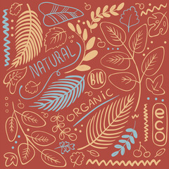 A collection of handdrawn leaves, twigs and inscriptions natural and organic. Branches of palm trees, leaves and berries.