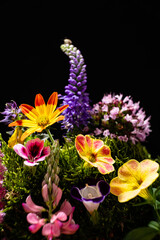 summer flowers on the black background