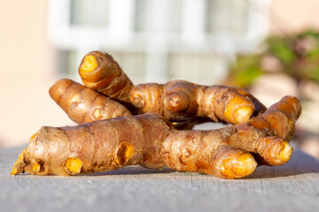 Close up of fresh Turmeric (curcuma longa ) roots.