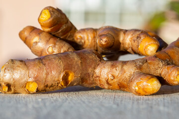 Close up of fresh Turmeric (curcuma longa ) roots.