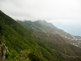 Fototapeta premium Tenerife Rural de Anaga Park Moist equatorial rainforests. Fog, rain, green wet forests.