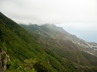 Tenerife Rural de Anaga Park Moist equatorial rainforests. Fog, rain, green wet forests.