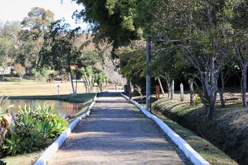 path in the park