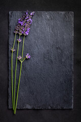 Top view of a black slate board with a bunch of lavender flowers on a dark background. Romantic theme with copyspace for your text.