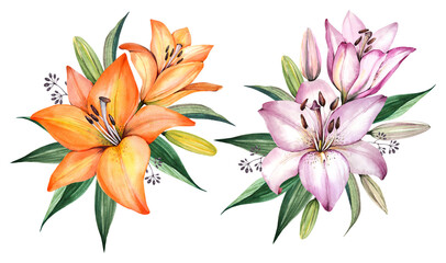 Pink and yellow lilies on a white background. Spring bouquet of lilies. Garden flowers. Watercolor illustration. - obrazy, fototapety, plakaty