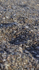 sea pebbles on a summer beach