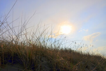 Sun on Dune