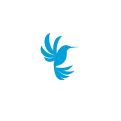 hummingbird logo design concept template white background vector illustration