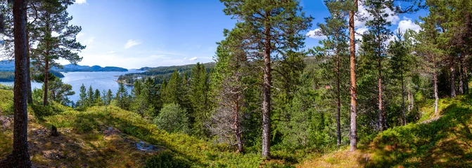 Foto op Aluminium Panoramic view from a high hill on a beautiful taiga forest descending to the lake. Tall pine trees under blue sky. Norway. © Savour_of_day