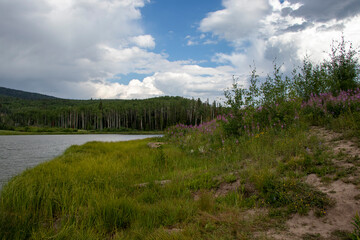 Fototapeta na wymiar Mountain Lake with Wildflowers and Blue Sky