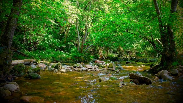 RIVIERE ARZON A VOREY HAUTE LOIRE FRANCE