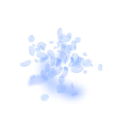 Dark blue flower petals falling down. Quaint roman