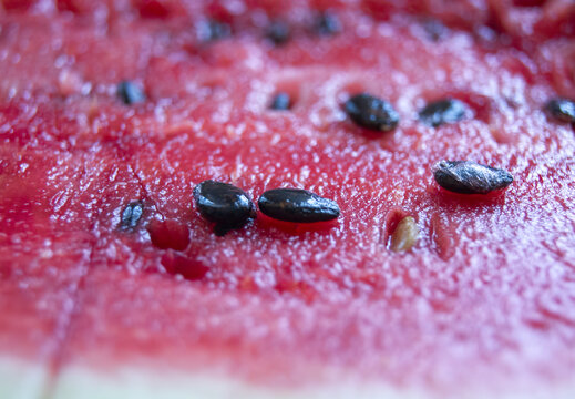 Sweet Watermelon Seeds In A Macro Photo