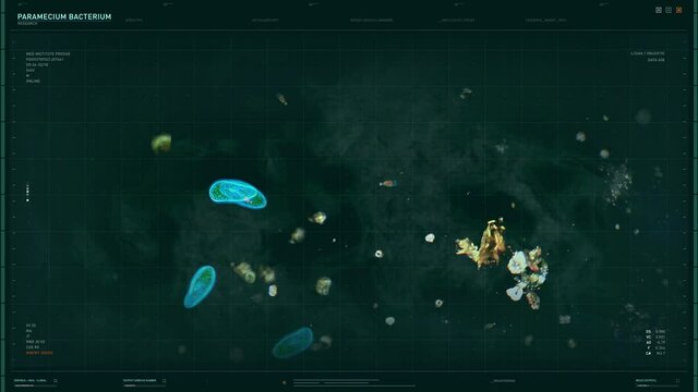 Bacteria Microorganism Research Using Innovative Laboratory Equipment. Scientists Watch Paramecium Microorganism Bacteria Chaotically Moving. Microorganism Bacteria Modern Medical Laboratory Analysis