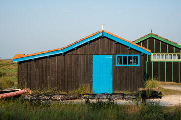 Fototapeta premium Site ostréicole, Fort Royer, Réserve naturelle maritime, Moêze Oléron, Ile d'Oléron, Charentes Maritimes, 17