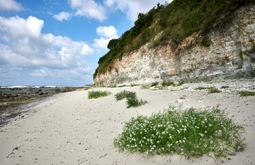 Steile Klippen aus Kreidesteinen an der Küste von Arnager auf der dänischen Ostsee-Insel Bornholm
