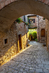 Fototapeta na wymiar Typische Gasse in kleiner Altstadt in der Toskana