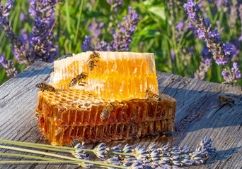 honey in honeycombs and lavender on a wooden table close up