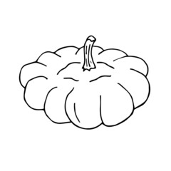 Vector hand drawn doodle sketch squash patison isolated on white background