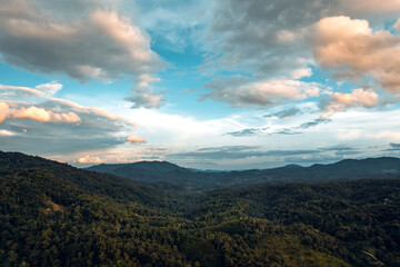 mountains and green forest in the evening