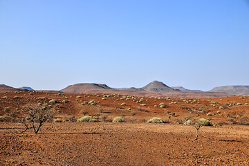 stunning red landscape in the semi desert of namibia, blue sky