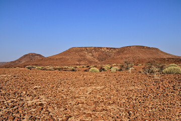 stunning red landscape in the semi desert of namibia, blue sky