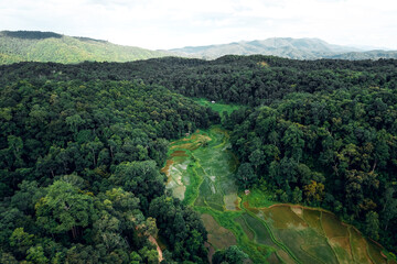 Fototapeta na wymiar Aerial view of terraced rice fields