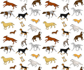 Vector seamless pattern of hand drawn doodle sketch colored different dog breed isolated on white background