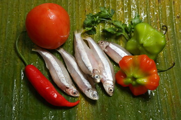Manjuba, saltwater fish used in caiçara moqueca